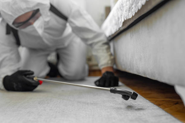 Professional Cockroach Control technician working in Ellicott, CO