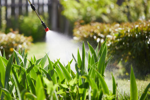 24/7 Emergency Cockroach Control experts in Ellicott, CO