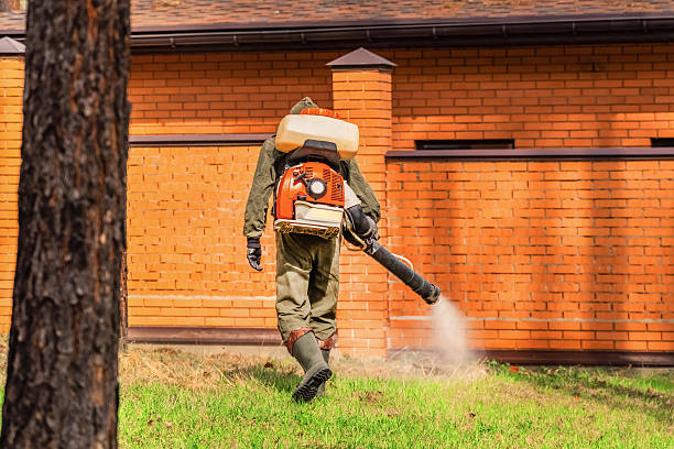 Trusted Cockroach Control service in Ellicott, CO - Nex Pest Control